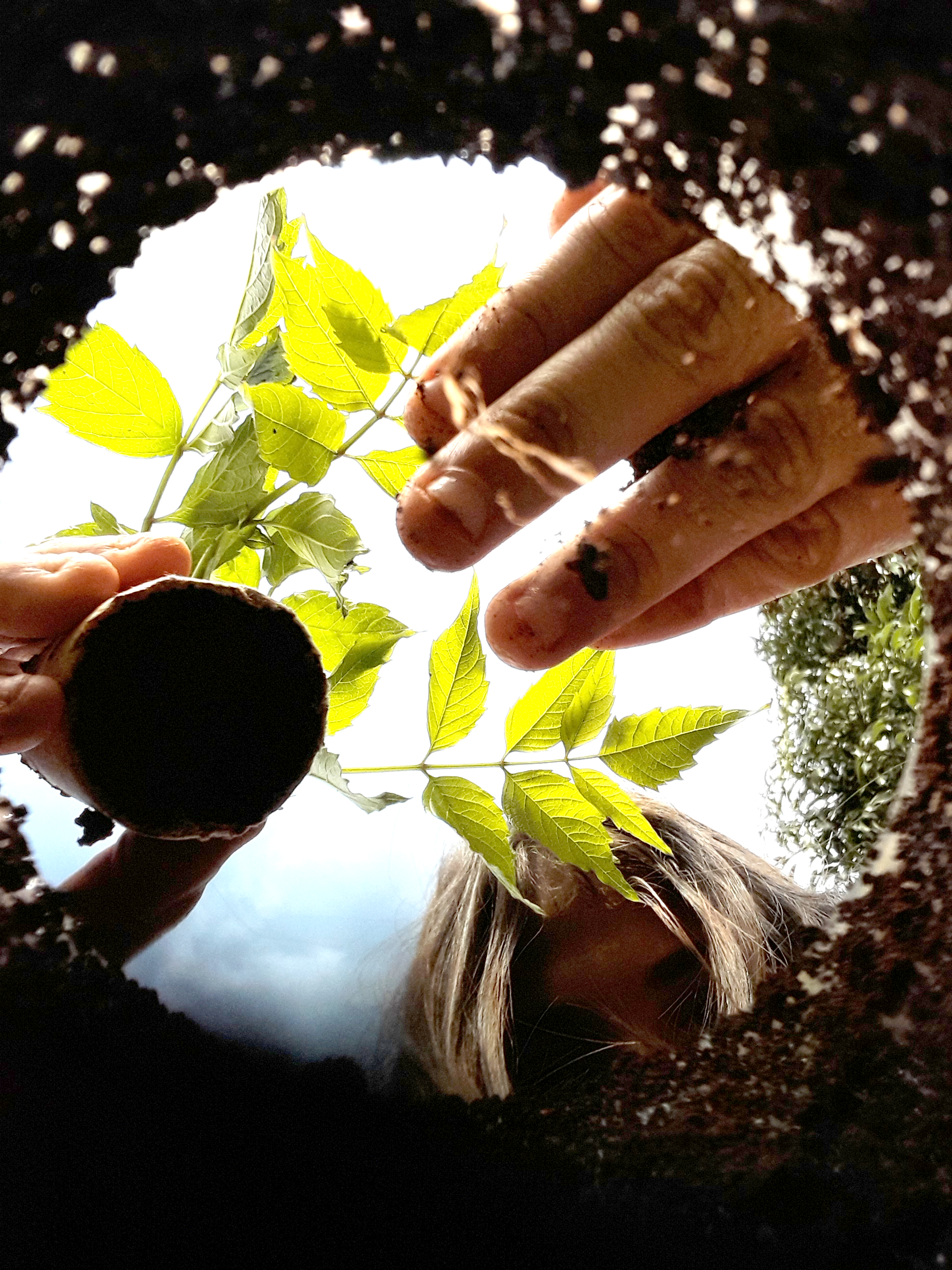 Ir para  <p><big>Em alus&atilde;o ao Dia Mundial do Meio Ambiente, celebrado em 5 de junho, o Cons&oacute;rcio It&aacute; realiza uma s&eacute;rie de atividades alusivas a Semana do Meio Ambiente, data que marca a passagem do...